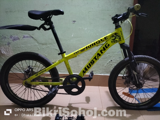 বাইসাইকেল